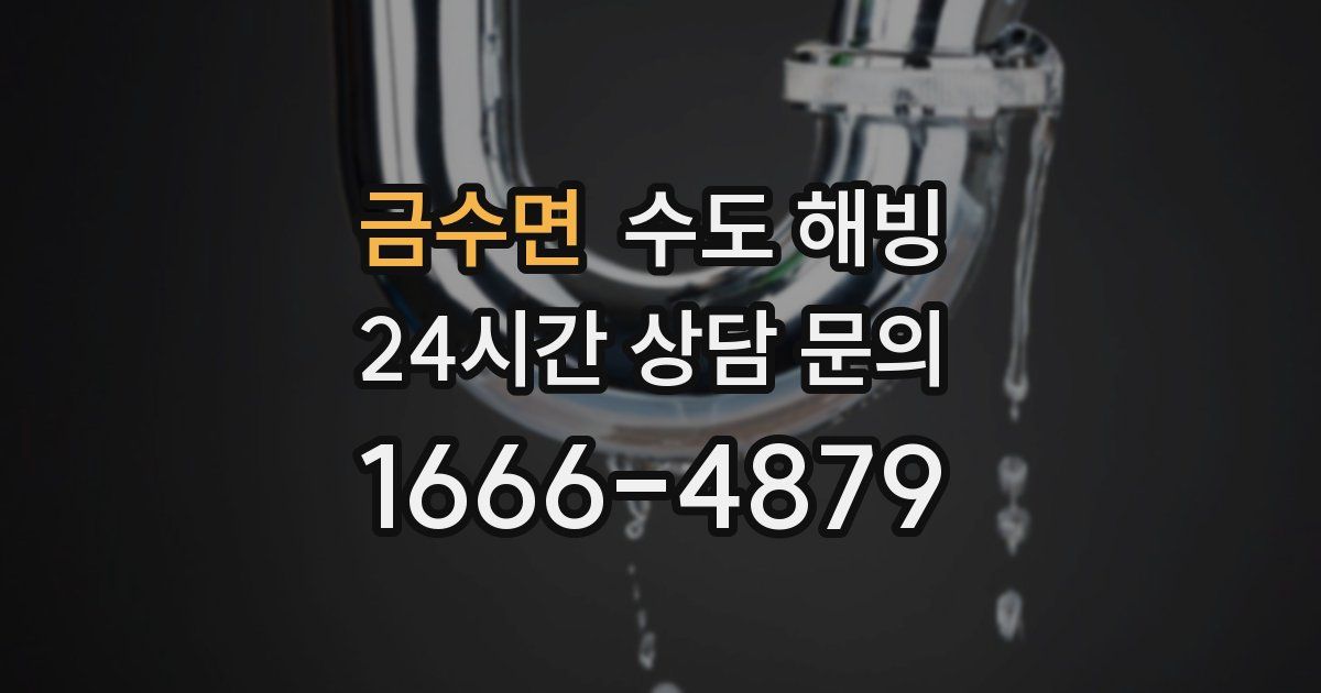 금수면 수도 해빙