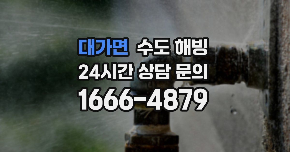 대가면 수도 해빙