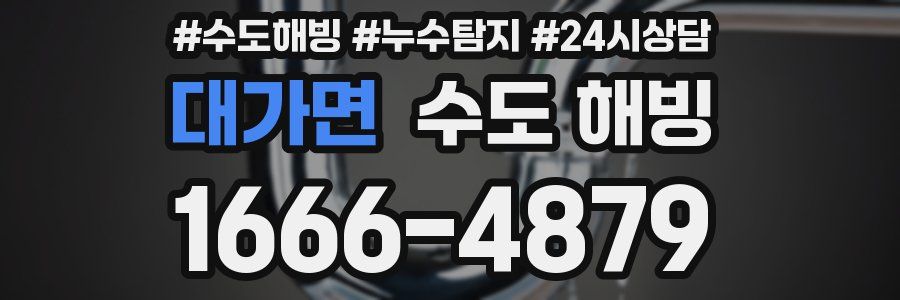 대가면 수도 해빙