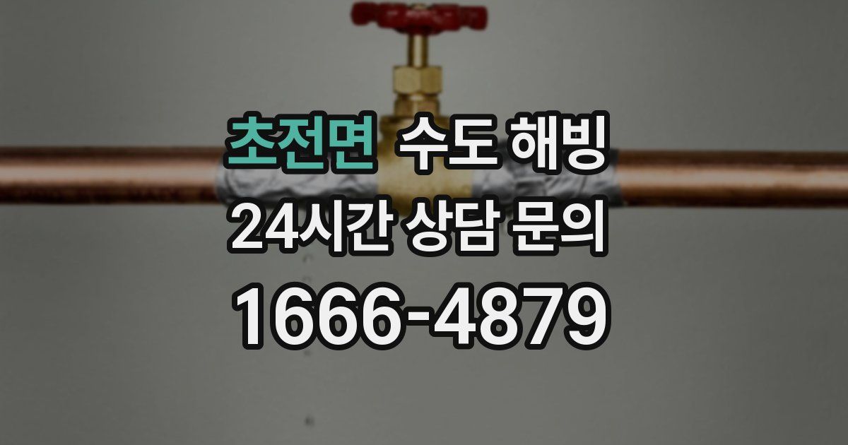 초전면 수도 해빙