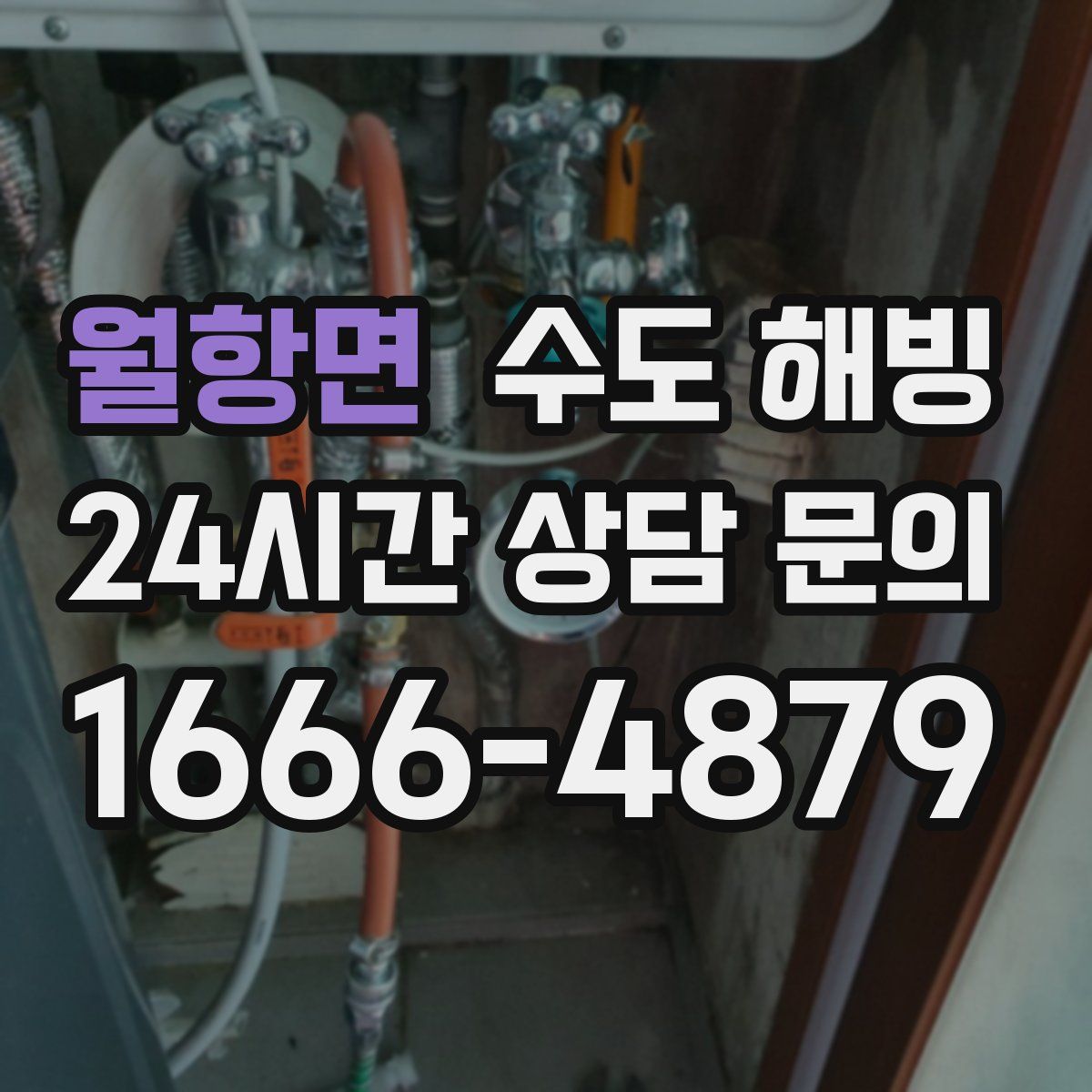 월항면 수도 해빙