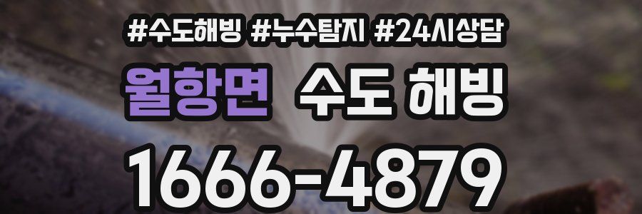 월항면 수도 해빙