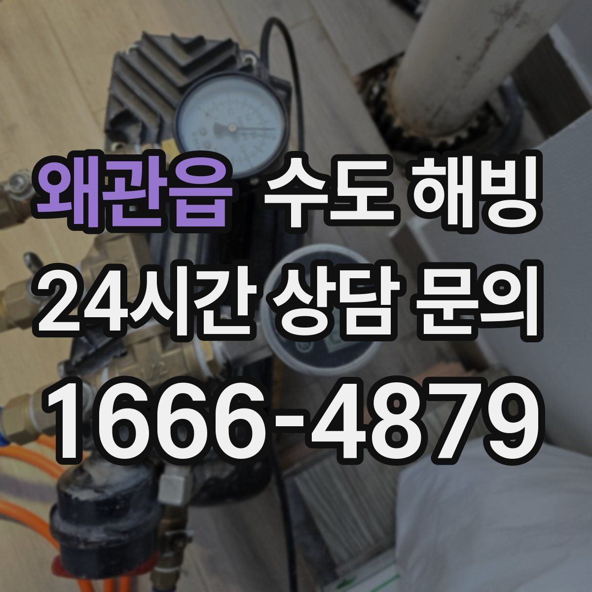 왜관읍 수도 해빙