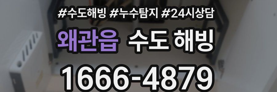 왜관읍 수도 해빙