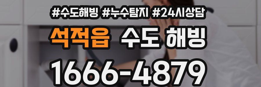 석적읍 수도 해빙