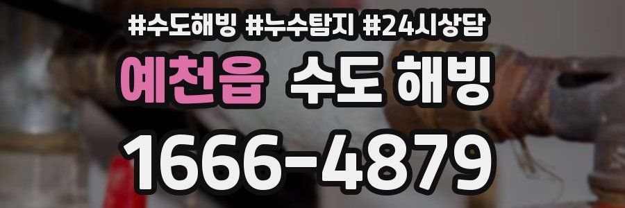 예천읍 수도 해빙