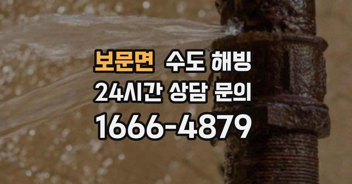 보문면 수도 해빙