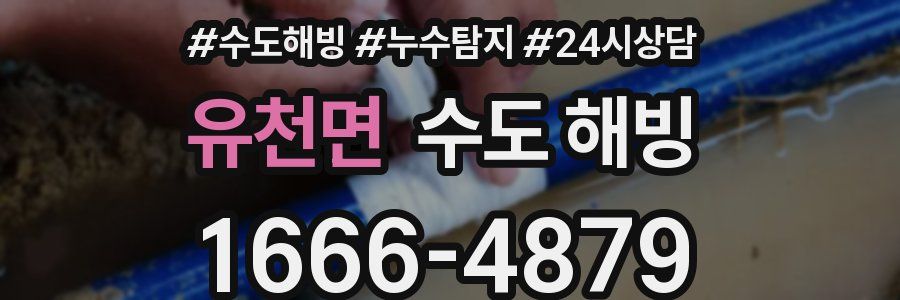 유천면 수도 해빙