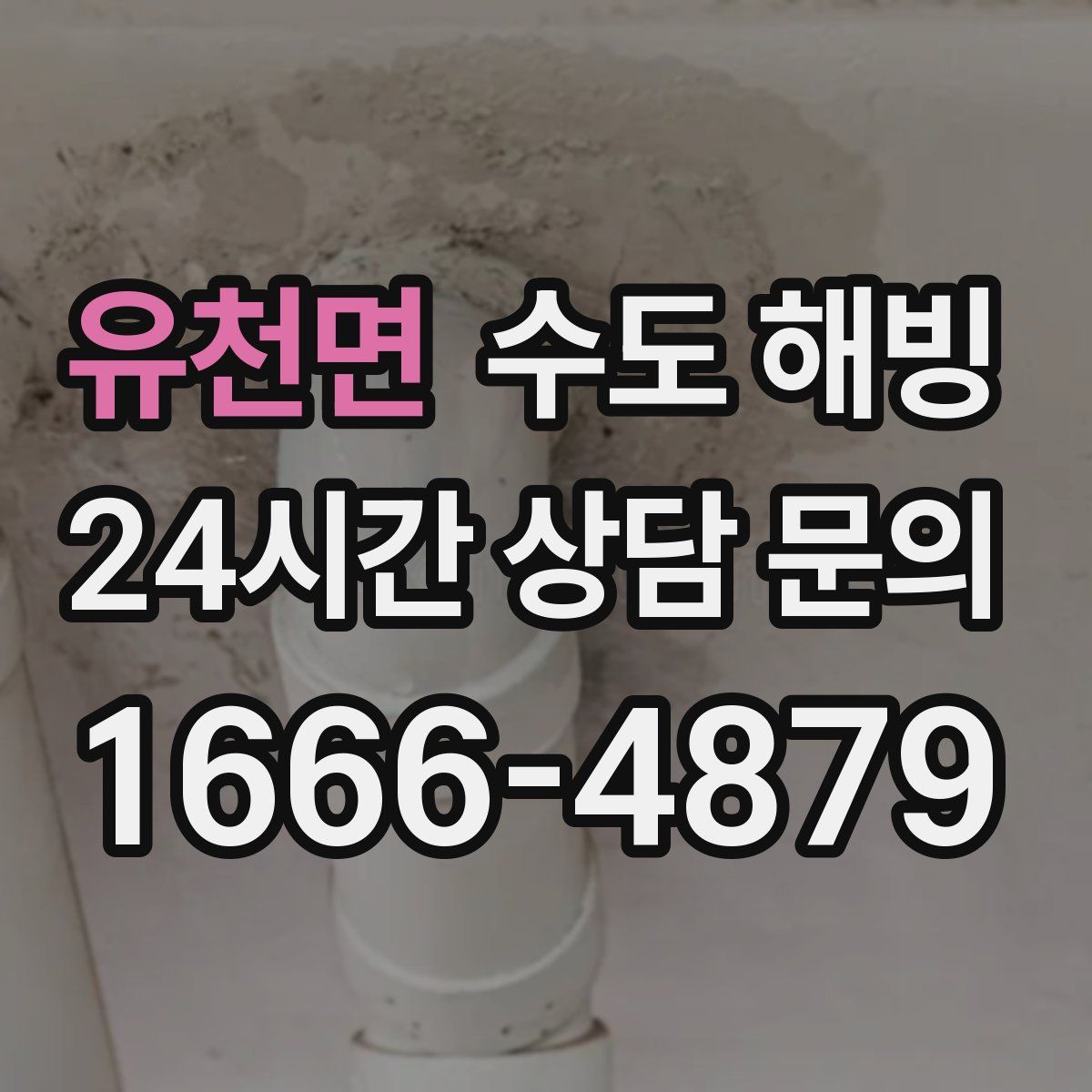 유천면 수도 해빙