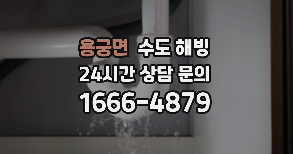 용궁면 수도 해빙