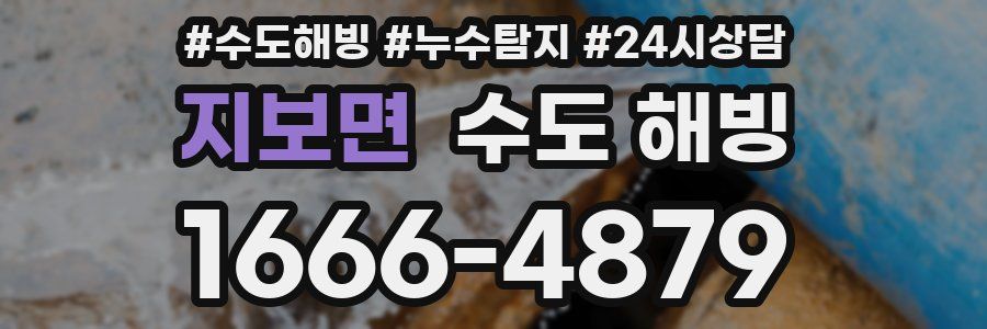 지보면 수도 해빙