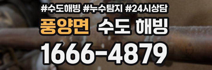 풍양면 수도 해빙