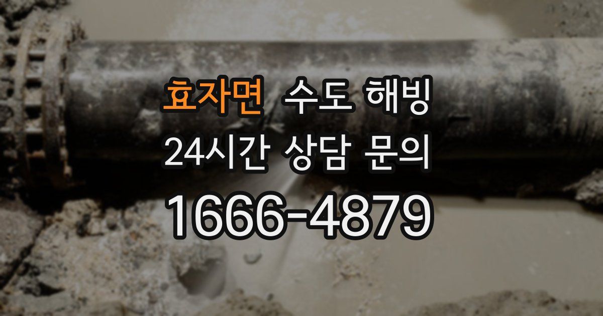 효자면 수도 해빙