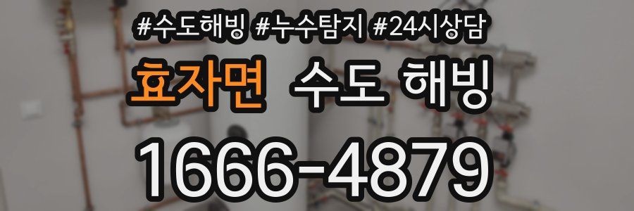 효자면 수도 해빙