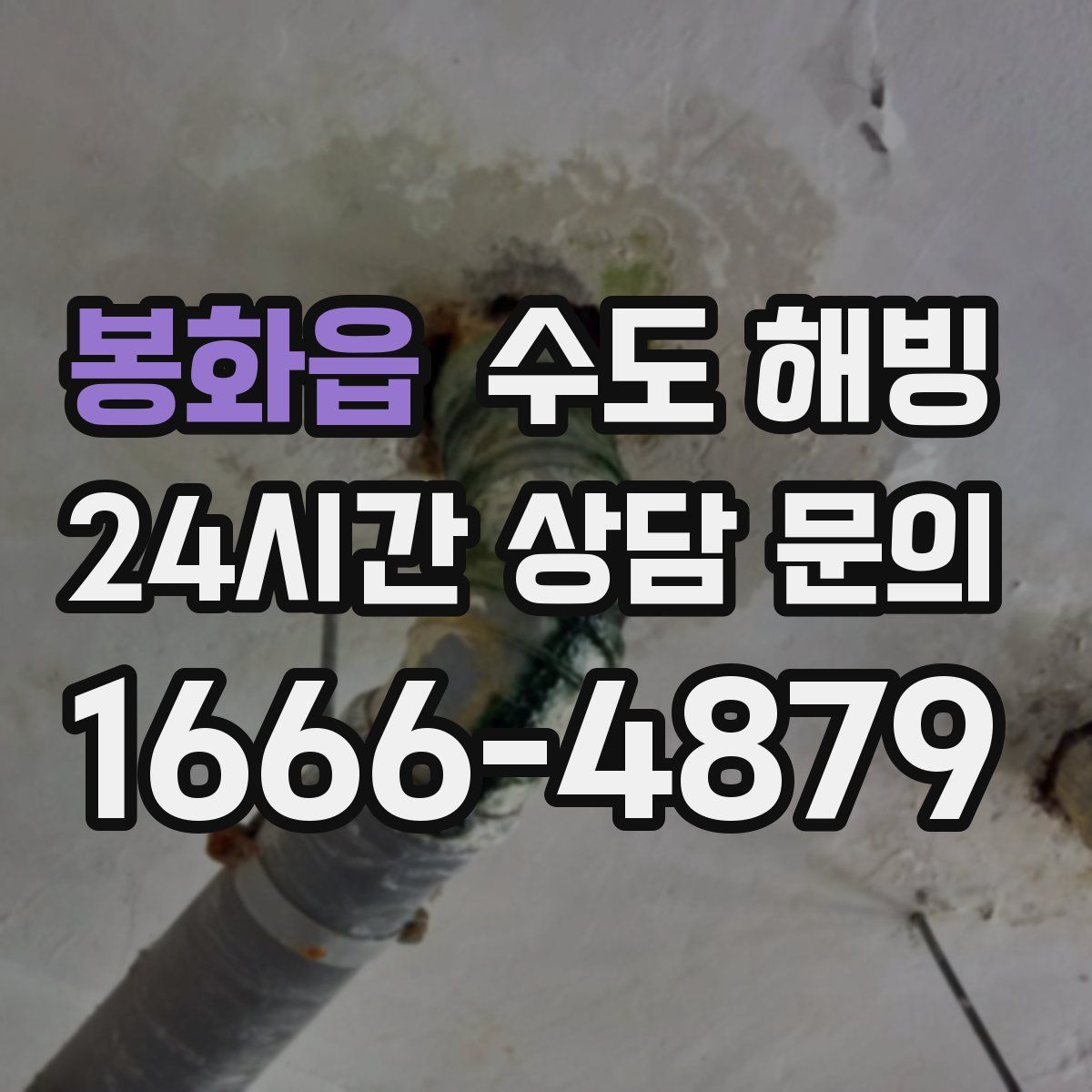 봉화읍 수도 해빙