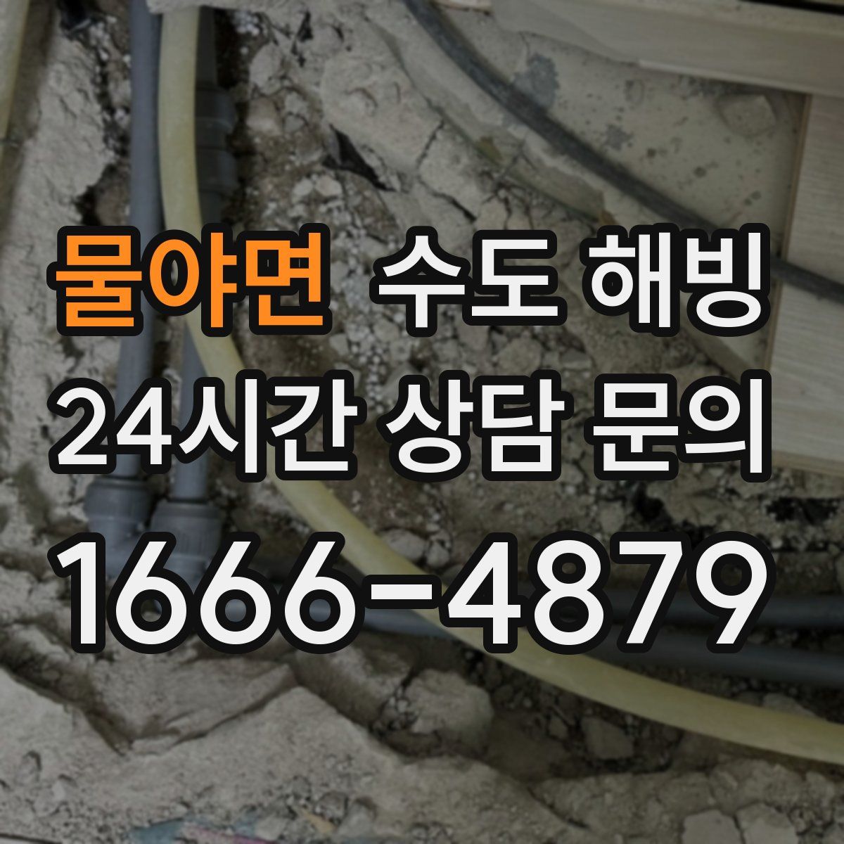 물야면 수도 해빙