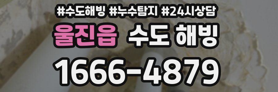 울진읍 수도 해빙