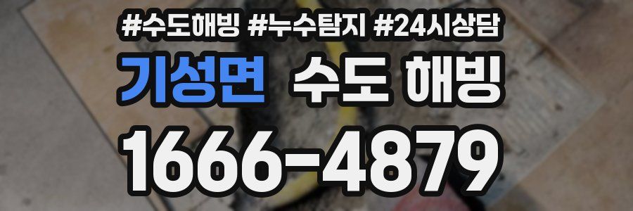 기성면 수도 해빙