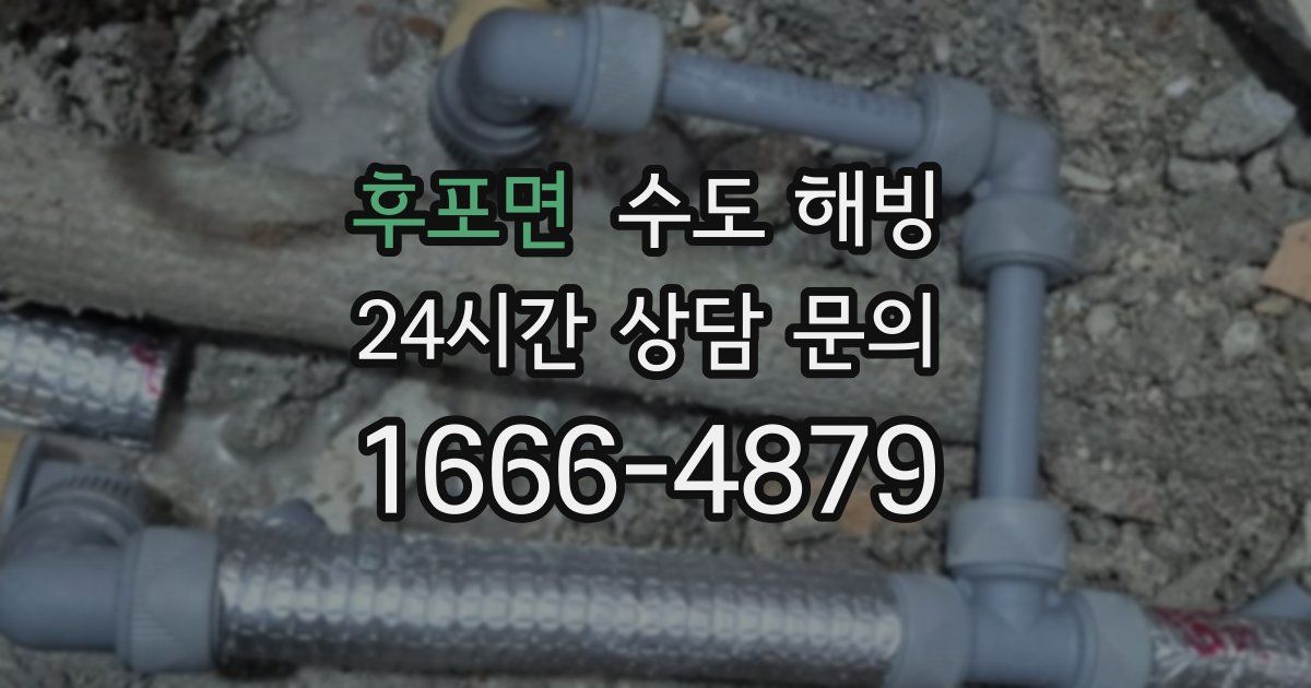 후포면 수도 해빙