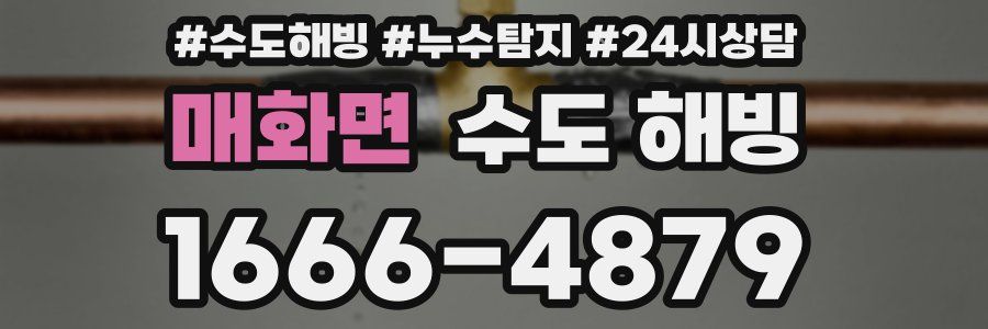 매화면 수도 해빙