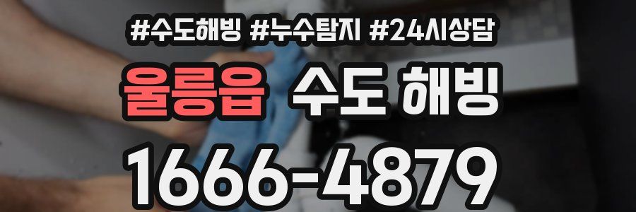 울릉읍 수도 해빙