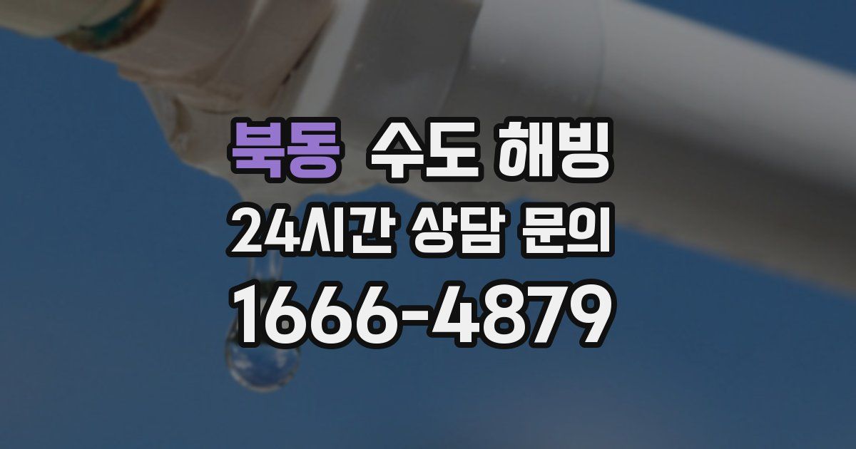 북동 수도 해빙