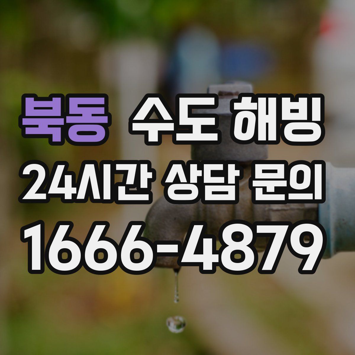 북동 수도 해빙