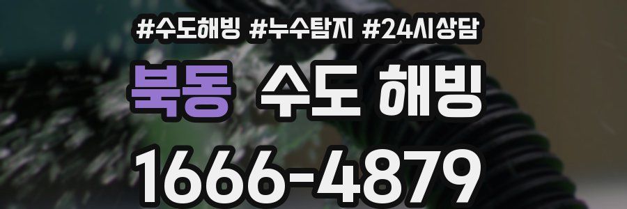 북동 수도 해빙