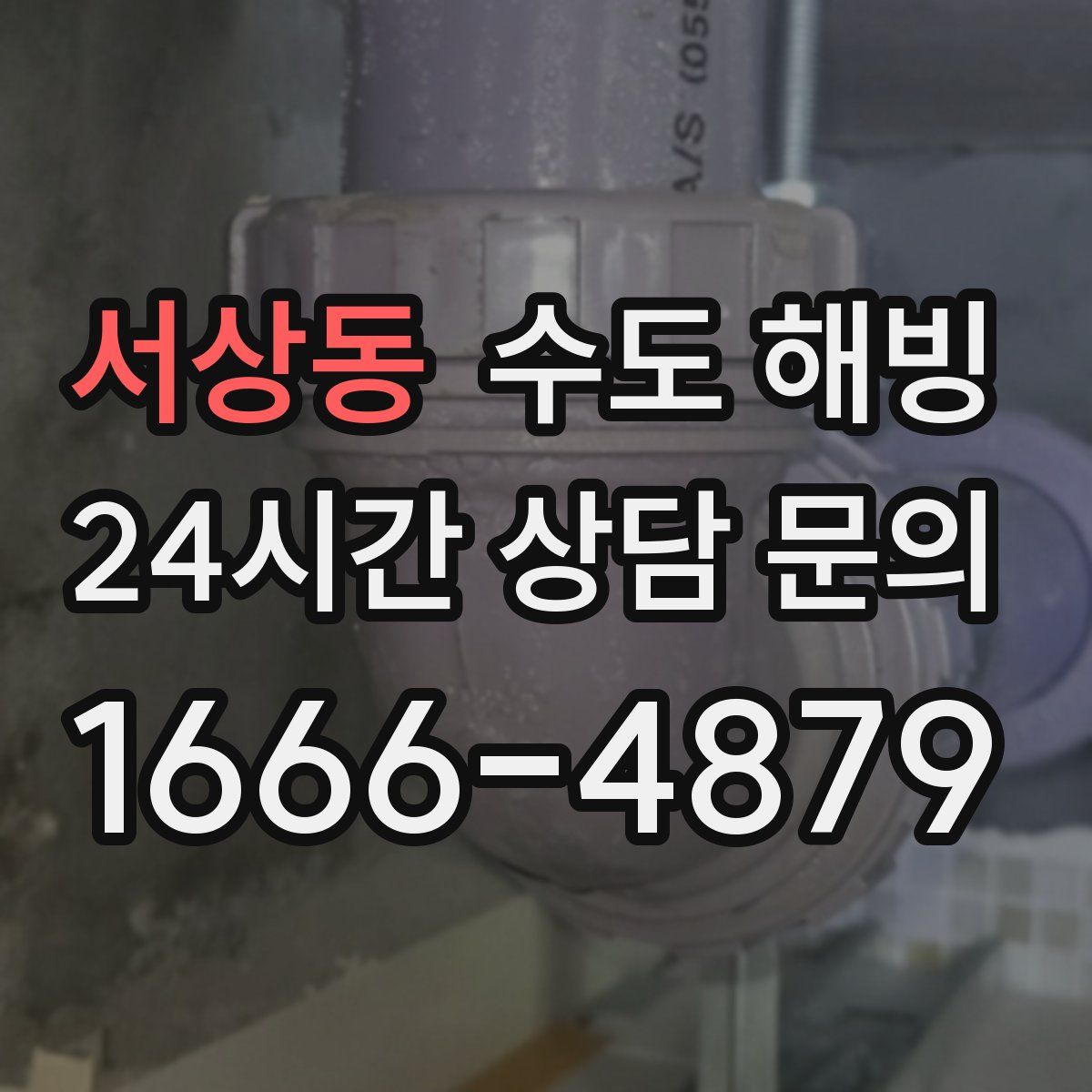 서상동 수도 해빙