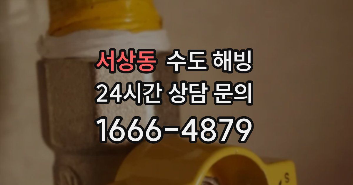 서상동 수도 해빙