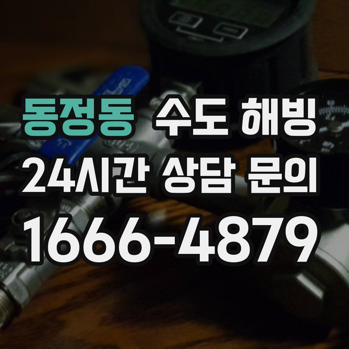 동정동 수도 해빙