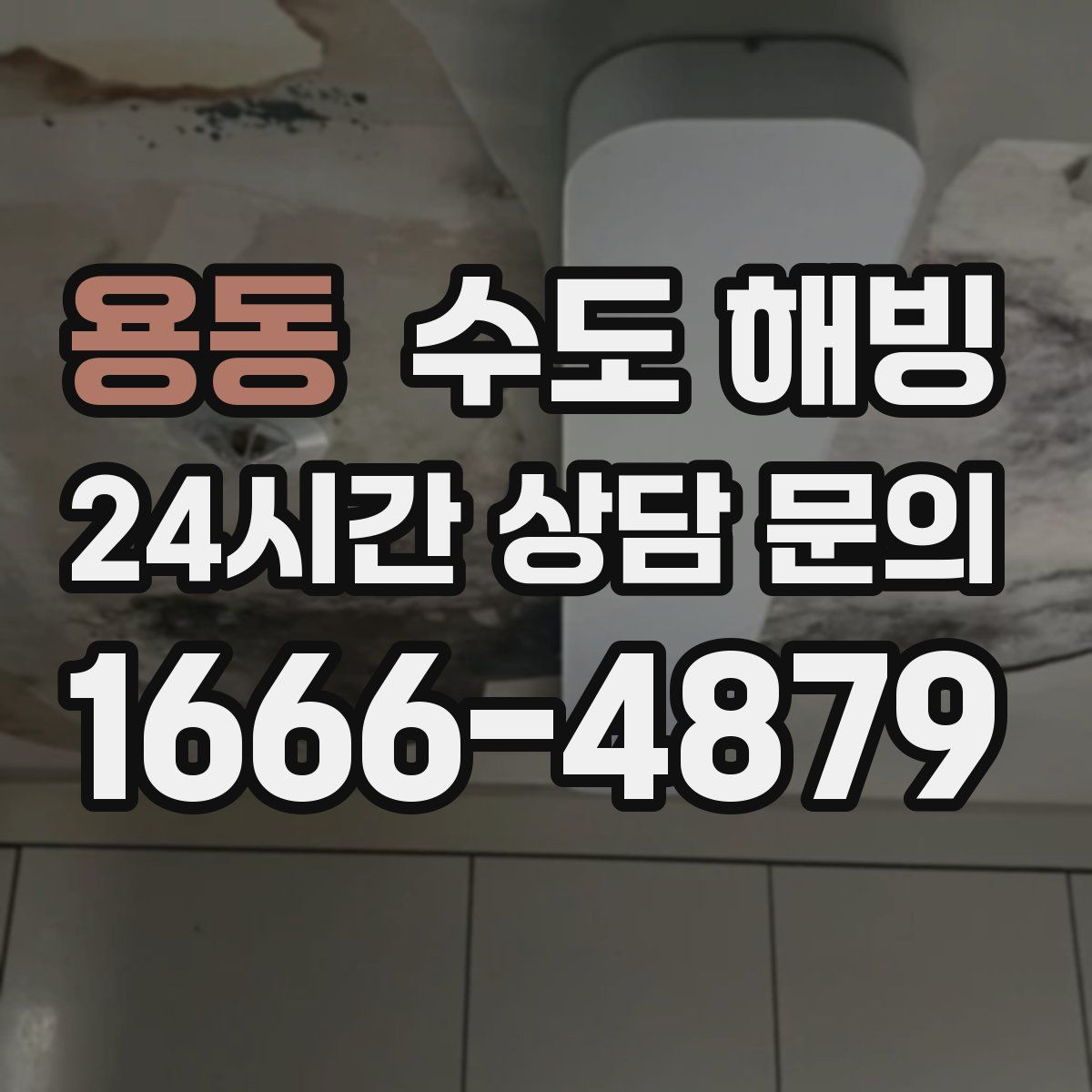 용동 수도 해빙