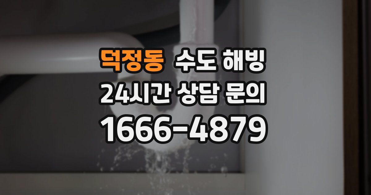 덕정동 수도 해빙