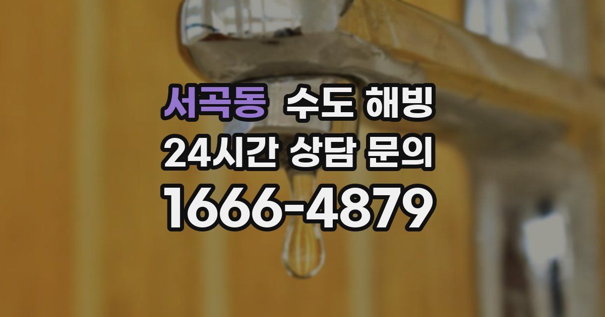 서곡동 수도 해빙