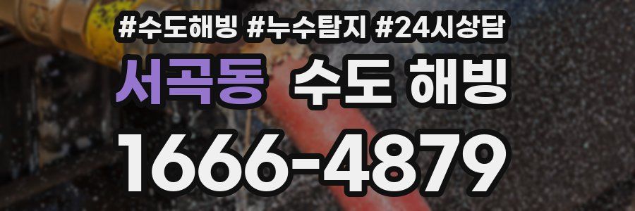 서곡동 수도 해빙