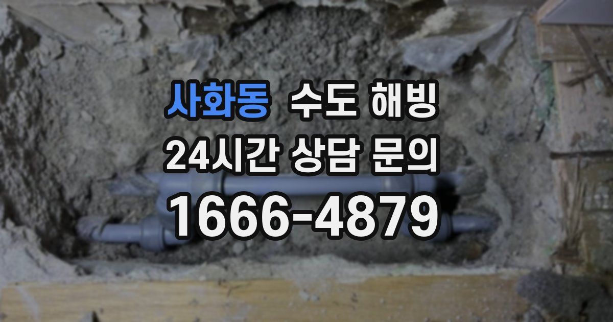 사화동 수도 해빙