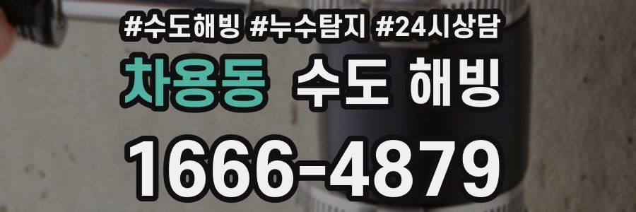 차용동 수도 해빙