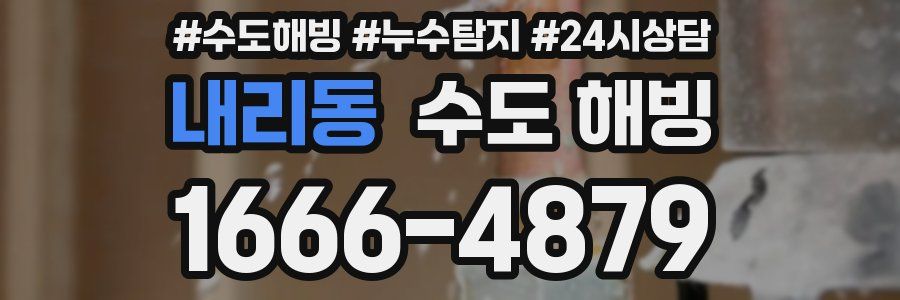 내리동 수도 해빙