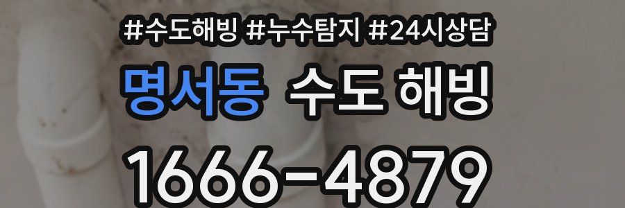 명서동 수도 해빙