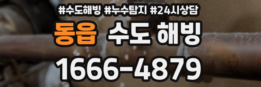 동읍 수도 해빙