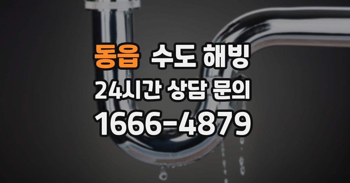 동읍 수도 해빙