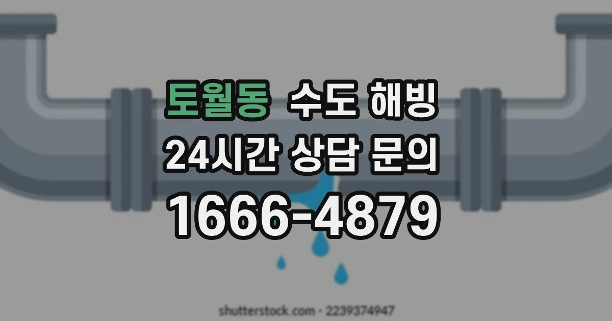 토월동 수도 해빙