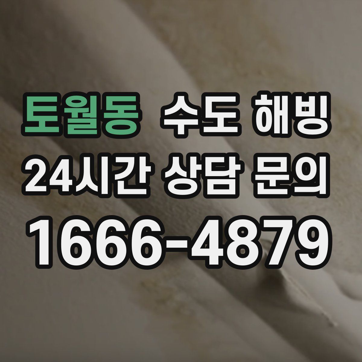 토월동 수도 해빙