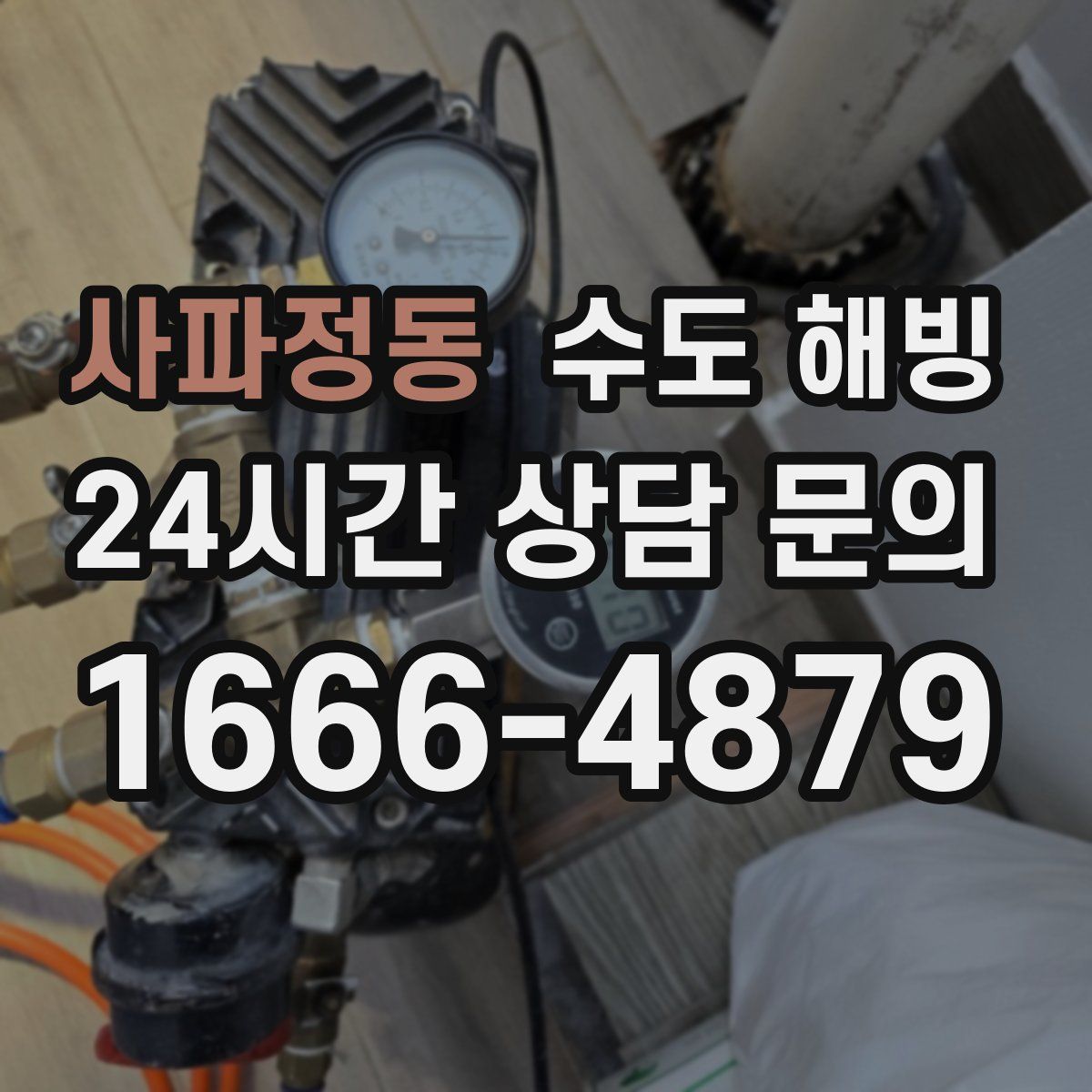 사파정동 수도 해빙