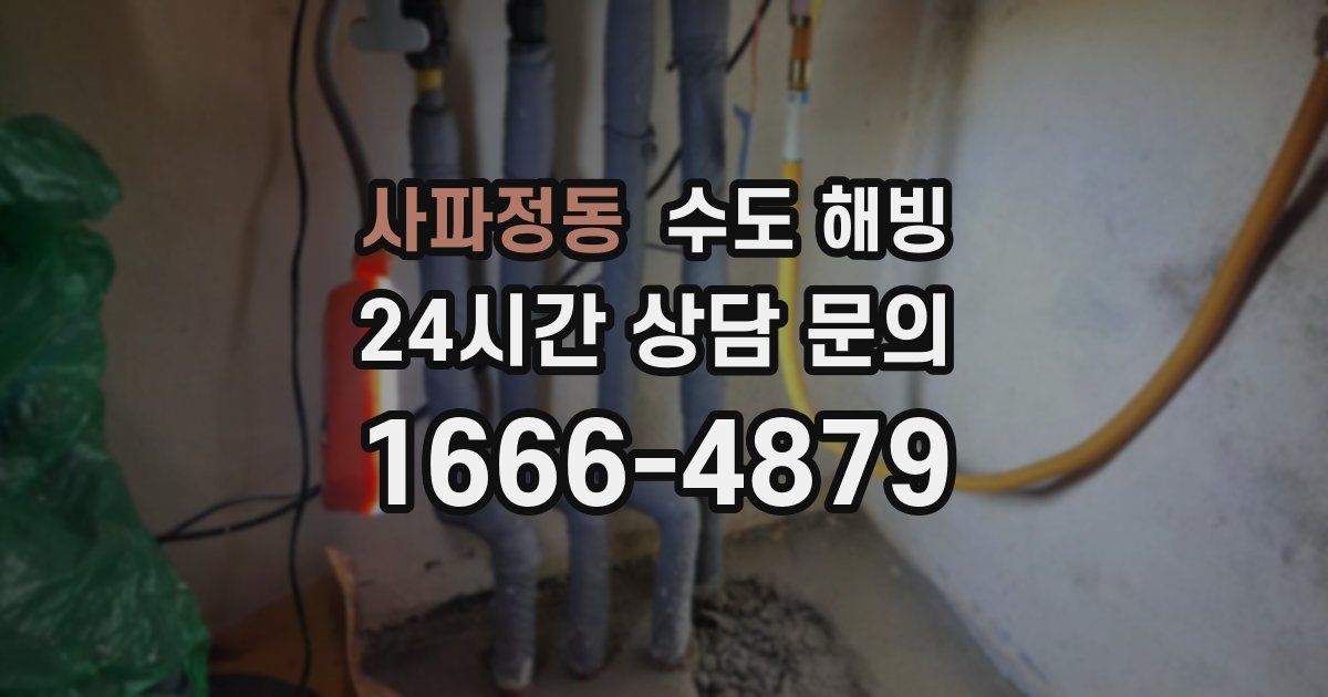 사파정동 수도 해빙