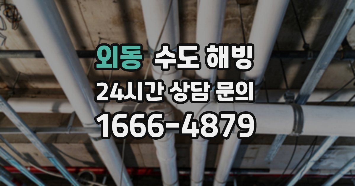 외동 수도 해빙