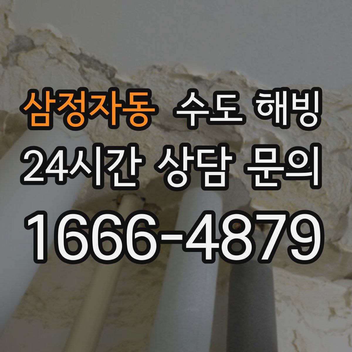 삼정자동 수도 해빙