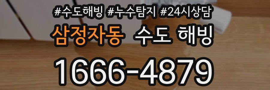 삼정자동 수도 해빙