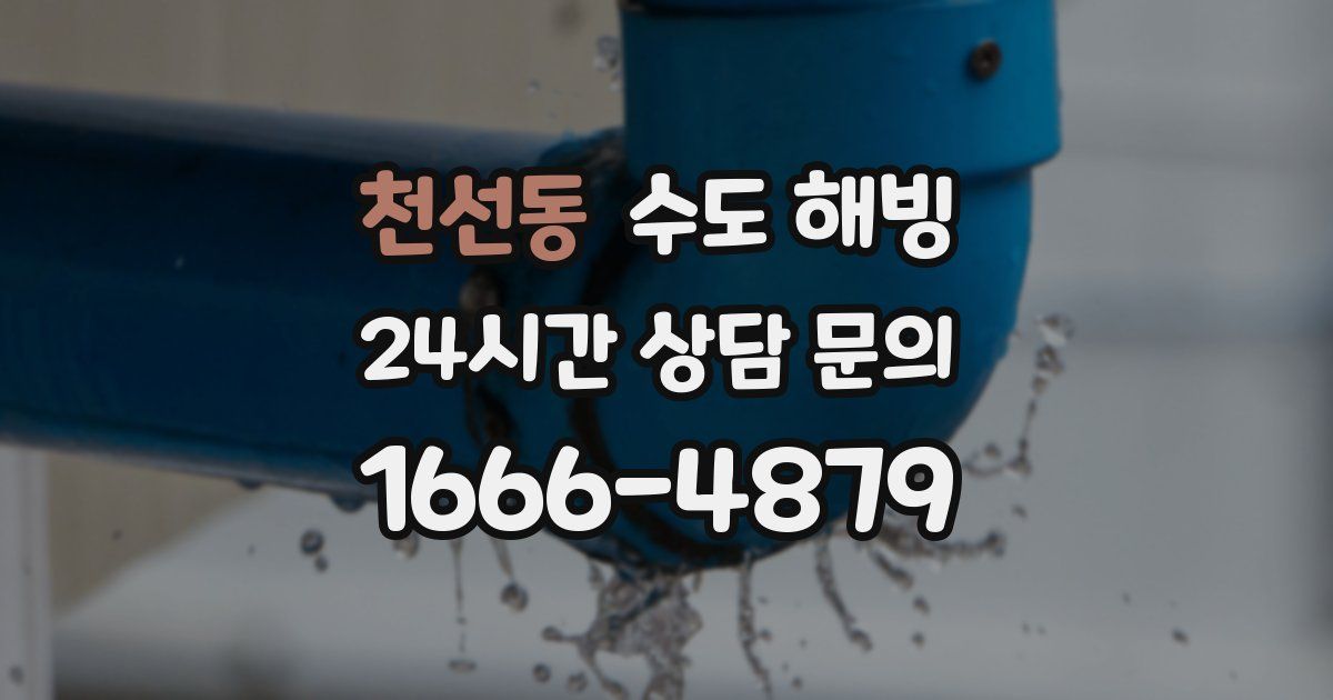 천선동 수도 해빙