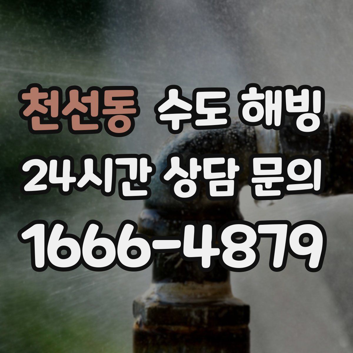 천선동 수도 해빙